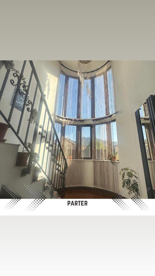 Vila Mik Guesthouse 사셀레 외부 사진